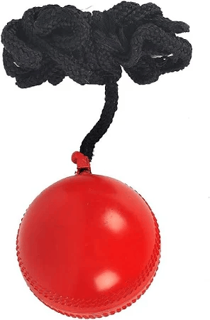 SS Hanging Balls