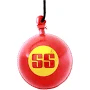 SS Hanging Balls